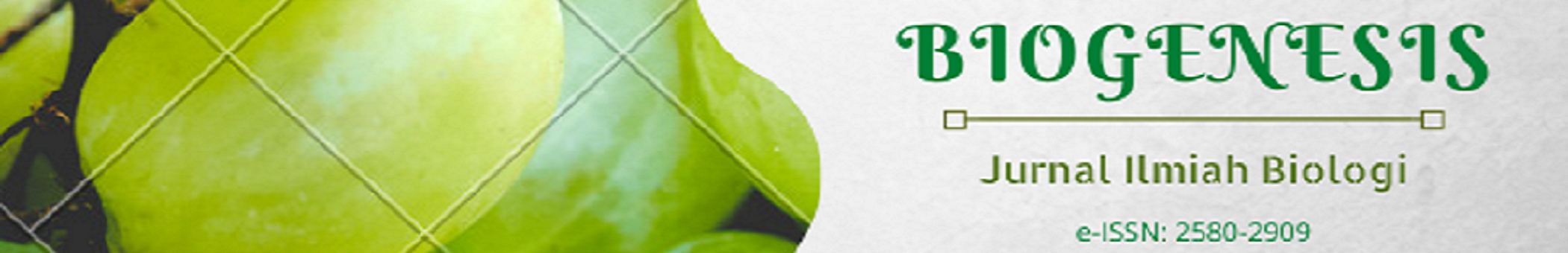 Page Header Logo